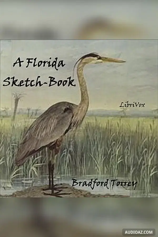 Florida Sketch-Book