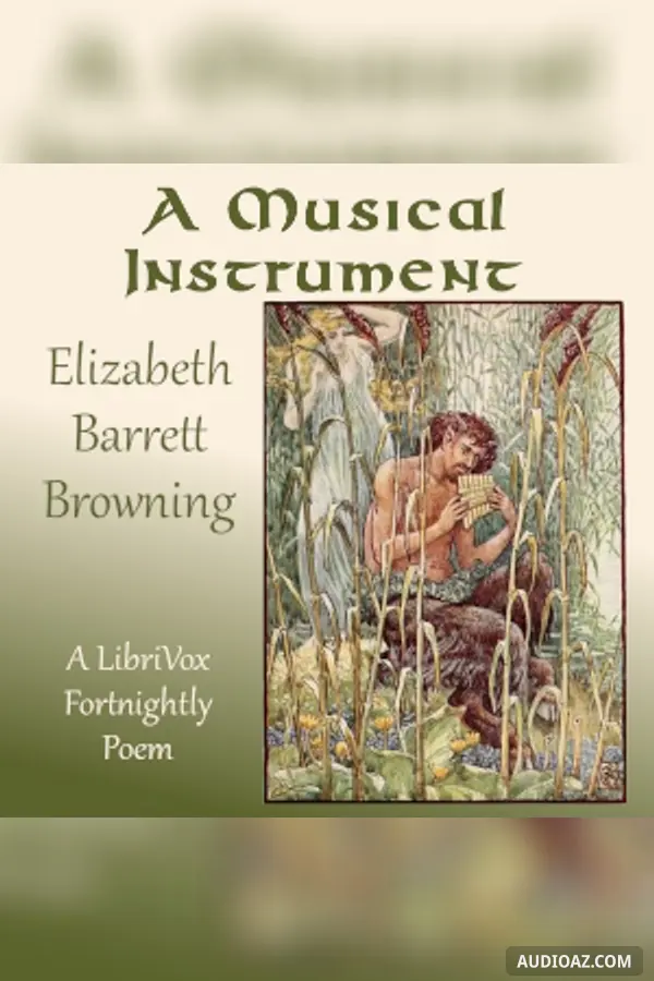 Musical Instrument