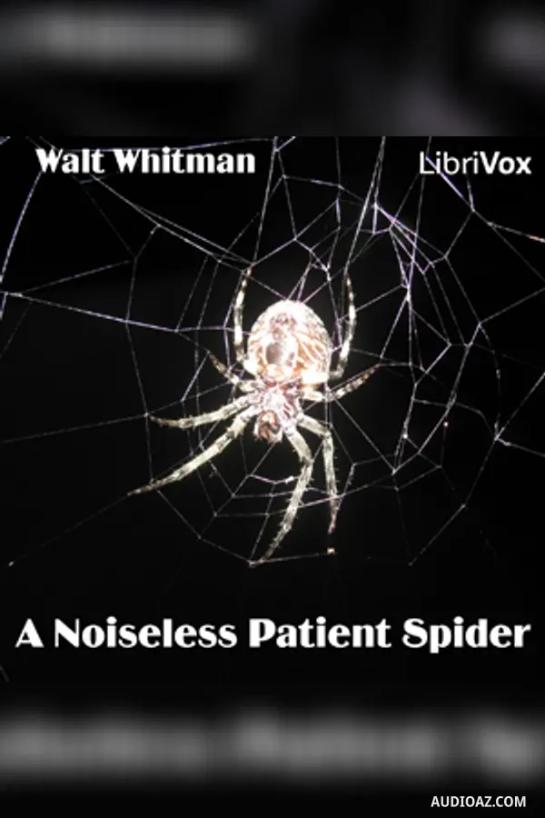 Noiseless Patient Spider