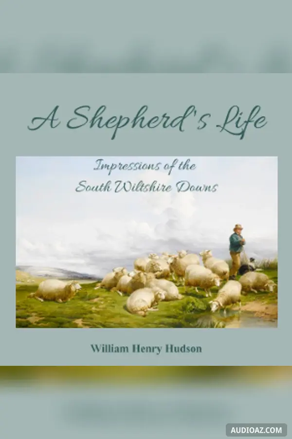 Shepherd's Life; Impressions Of The South Wiltshire Downs