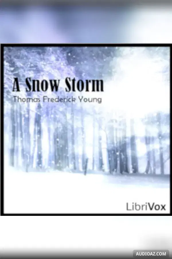 Snow Storm