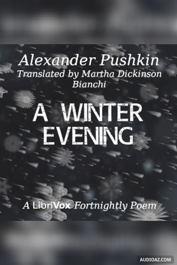 Winter Evening