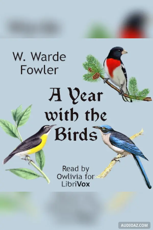 Year with the Birds