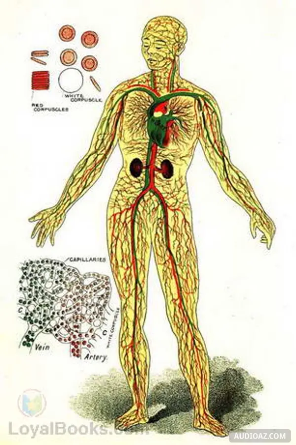 Physiology and Hygiene