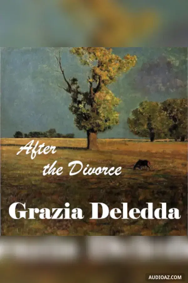 After the Divorce - Free Audiobook