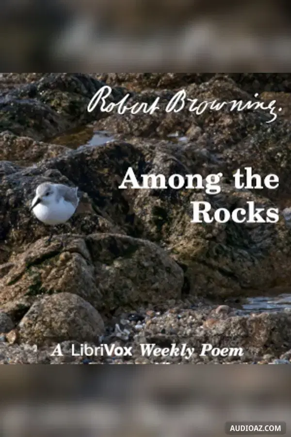 Among The Rocks