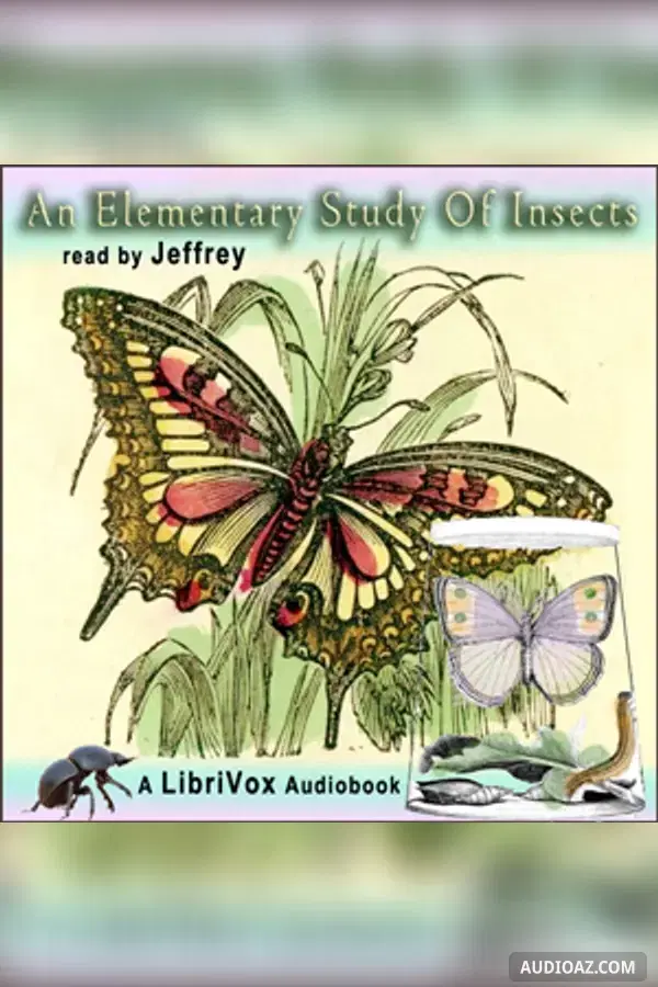 Elementary Study of Insects - Free Audiobook