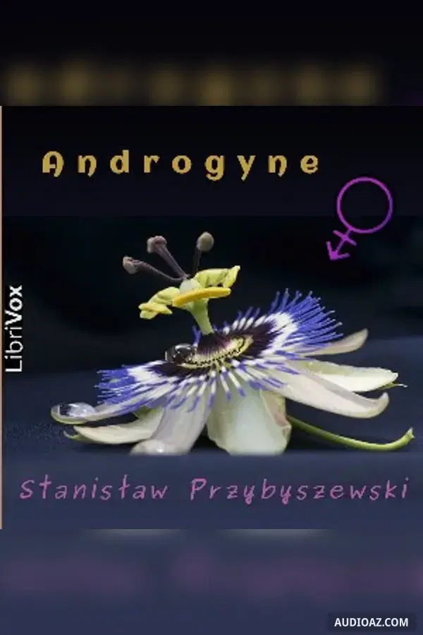 Androgyne