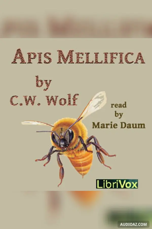Apis Mellifica