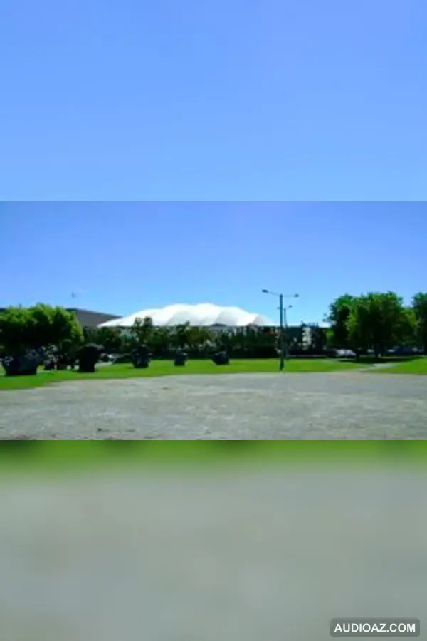 101115 CORTOS DESDE LA CASA