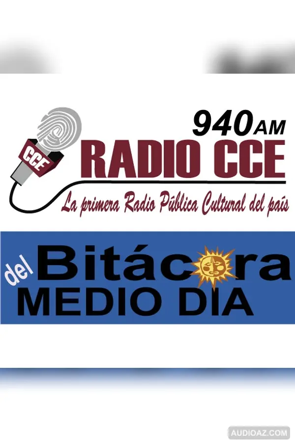 333 BITACORA DEL MEDIO DIA