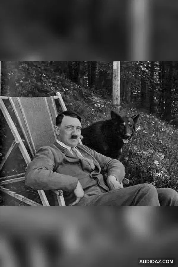 Die Wölfe kehren heim