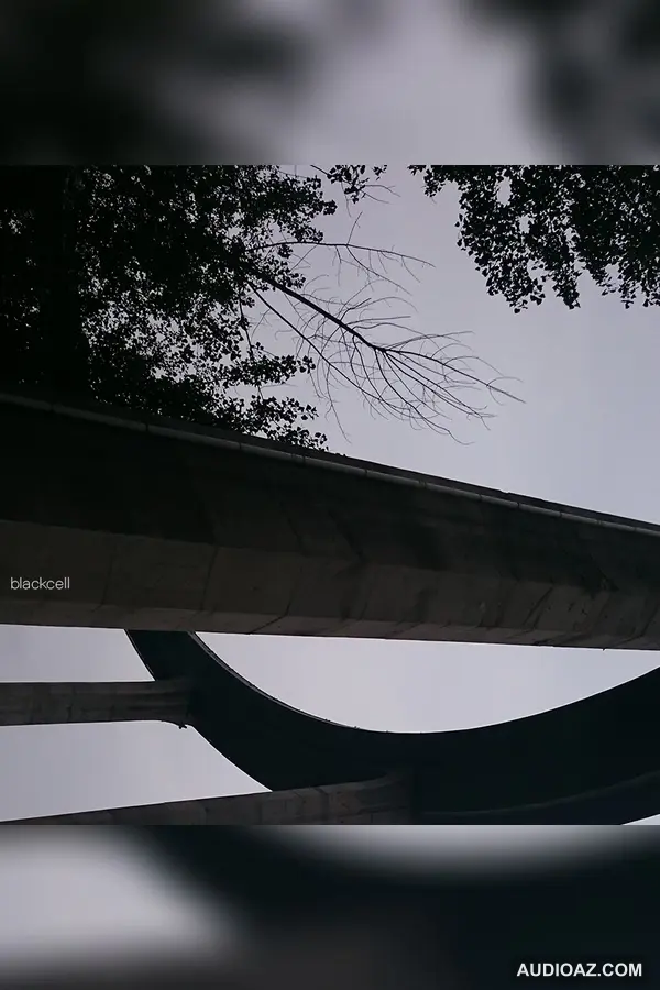 Black Cell Live (June 28 2019)