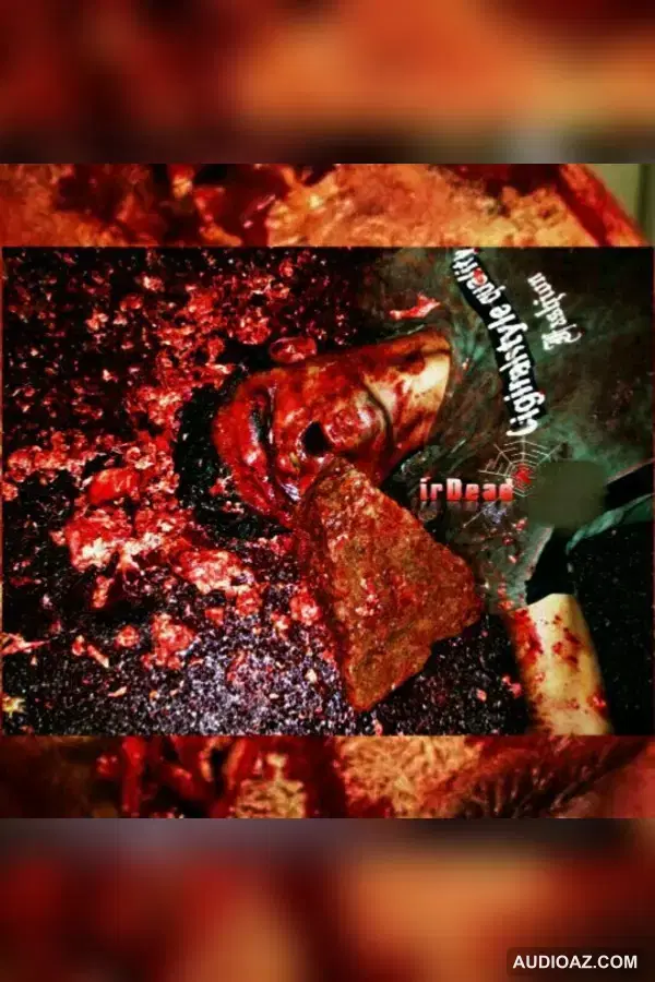 DJ ACVD - WWZ