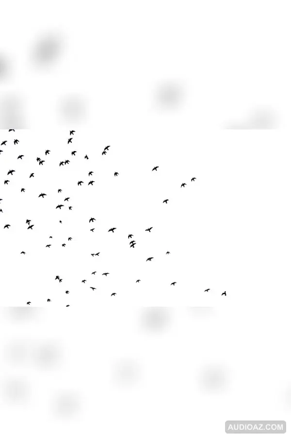 Entrevistas sobre los presos Fernando Barcenas y Fernando Sotelo