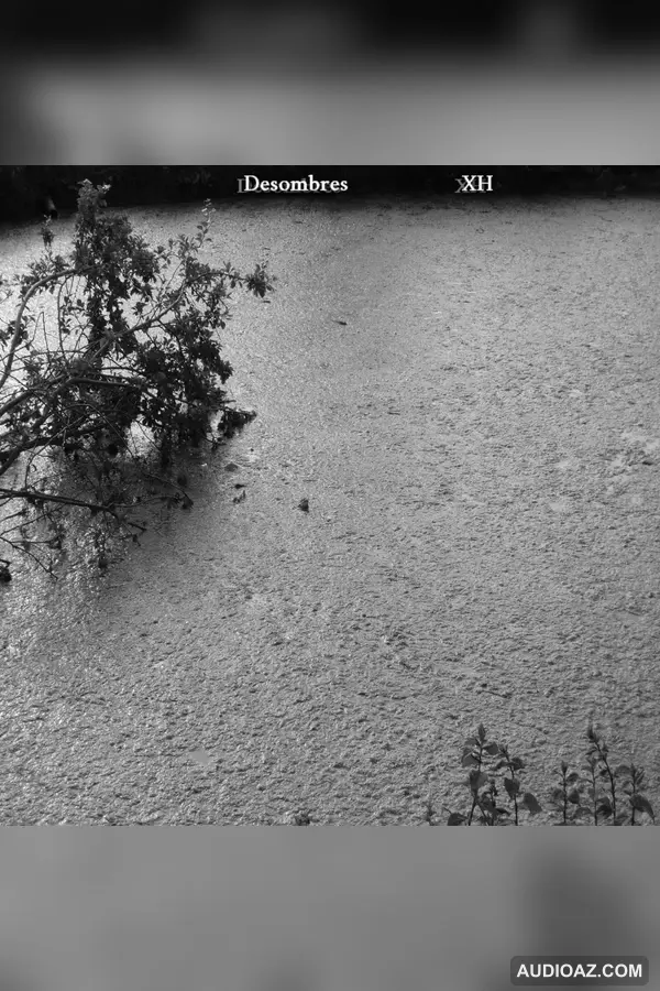 Desombres - XH
