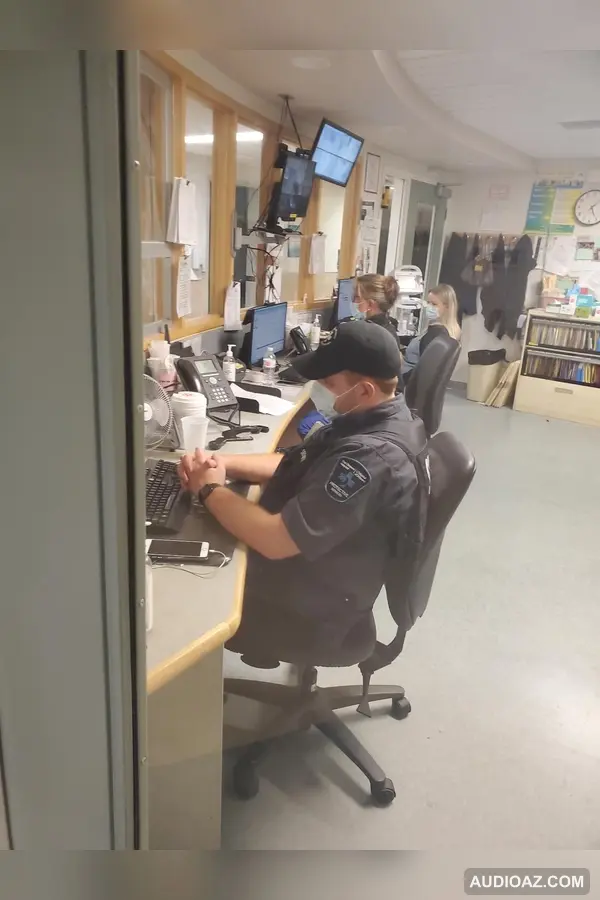 REALiTi by grimes [defcron cover ft. c]