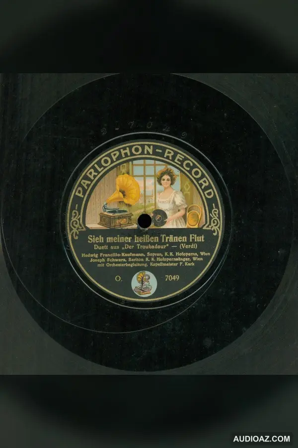 Sieh meiner heißen Tränen Flut