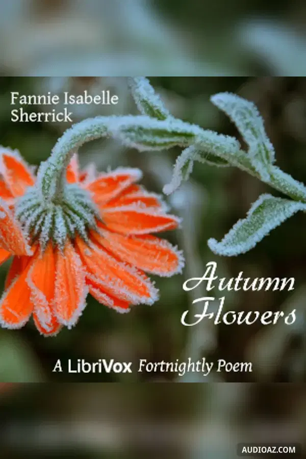 Autumn Flowers