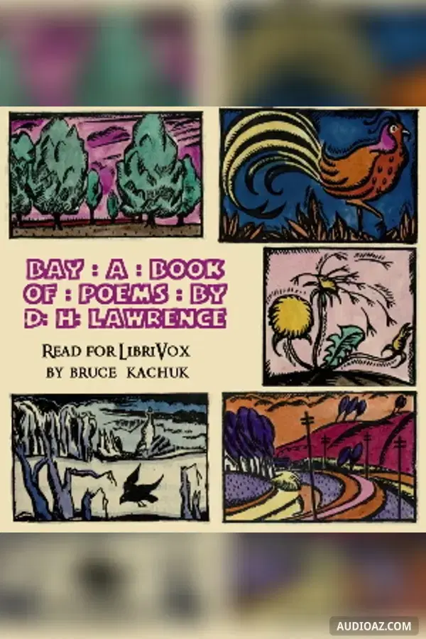 Bay: A Book of Poems