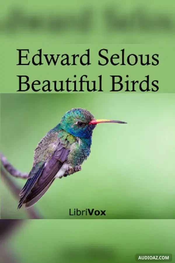 Beautiful Birds