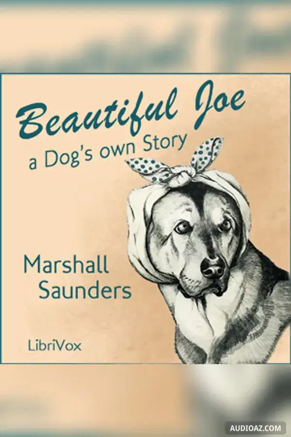 Beautiful Joe
