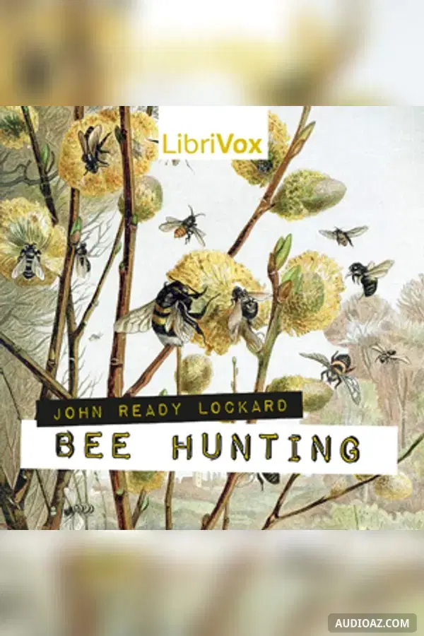 Bee Hunting
