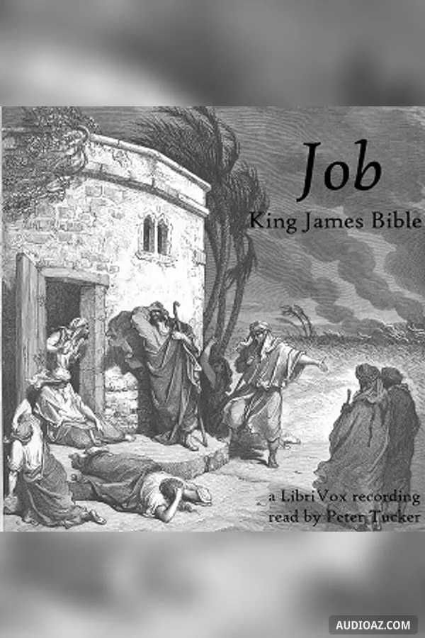 Bible (KJV) 18: Job (version 2)
