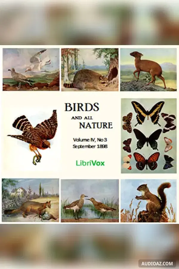 Birds and all Nature, Vol. IV, No 3, September 1898