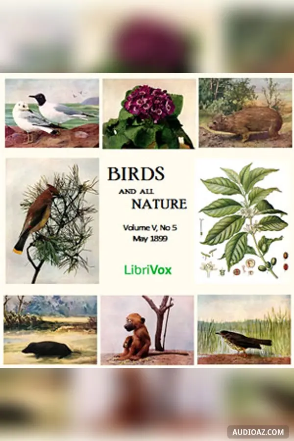 《Birds and All Nature, Vol. V, No 5, May 1899》 - 免费有声读物