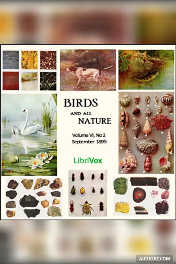 Birds and All Nature, Vol. VI, No 2, September 1899 - Audiolibro Gratis