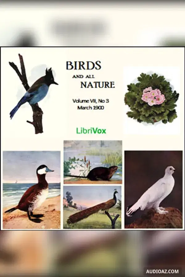 Birds and All Nature, Vol. VII, No 3, March 1900 - Бесплатная аудиокнига