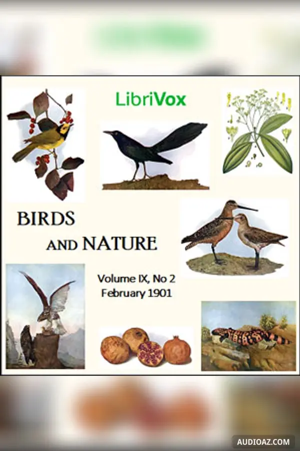 Birds and Nature, Vol. IX, No 2, February 1901