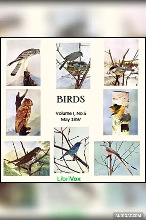 Birds, Vol. I, No 5, May 1897
