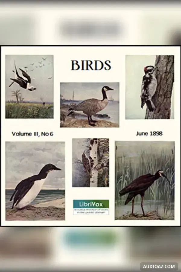 Birds, Vol. III, No 6, June 1898