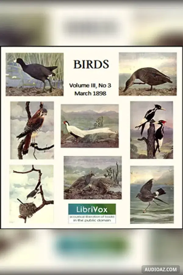 Birds, Vol. III, No 3, March 1898