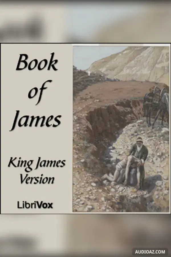 Bible (KJV) NT 20: James
