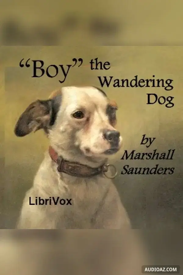 "Boy" The Wandering Dog