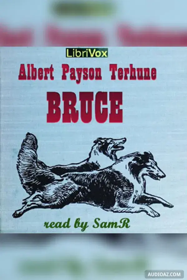Bruce