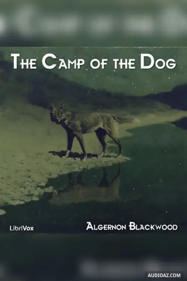 Camp of the Dog