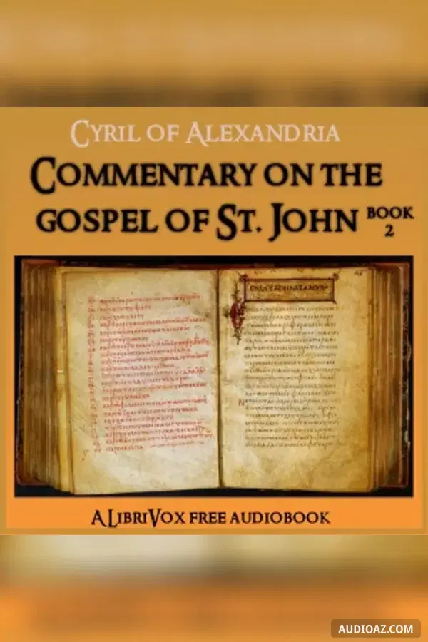 Commentary on the Gospel of John, Book 2