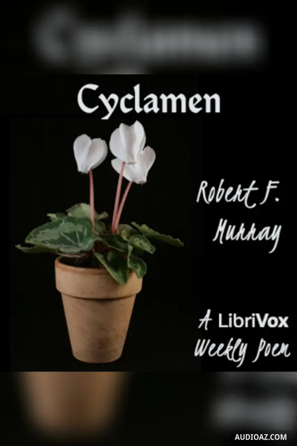 Cyclamen