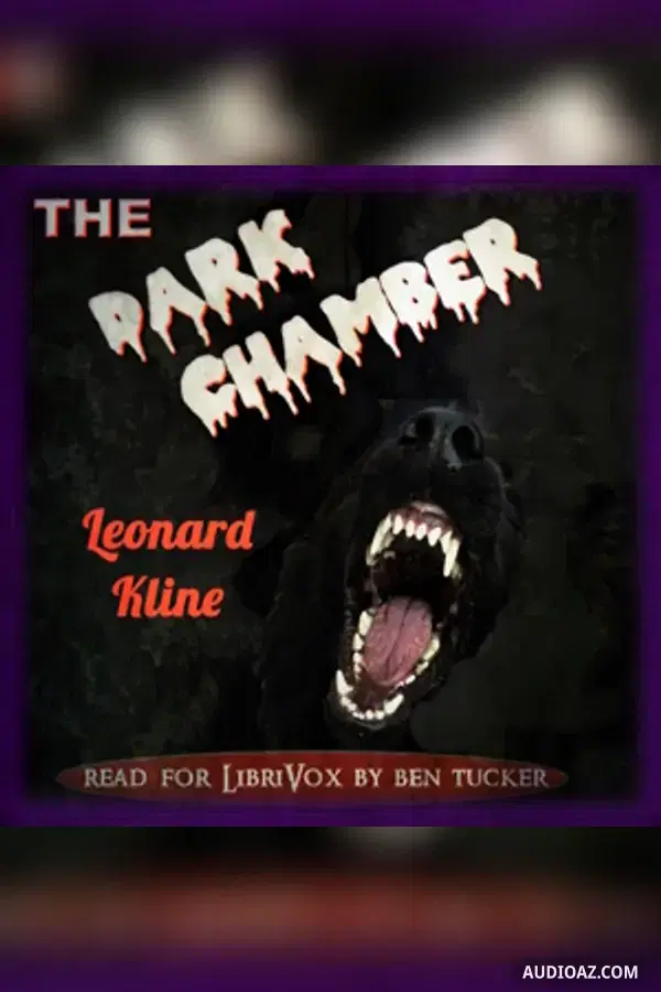 Dark Chamber
