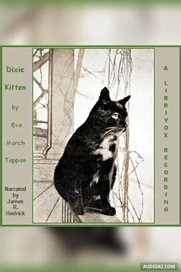 Dixie Kitten