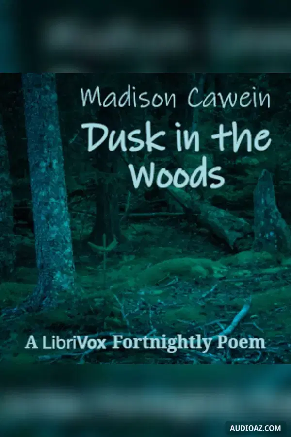Dusk in the Woods
