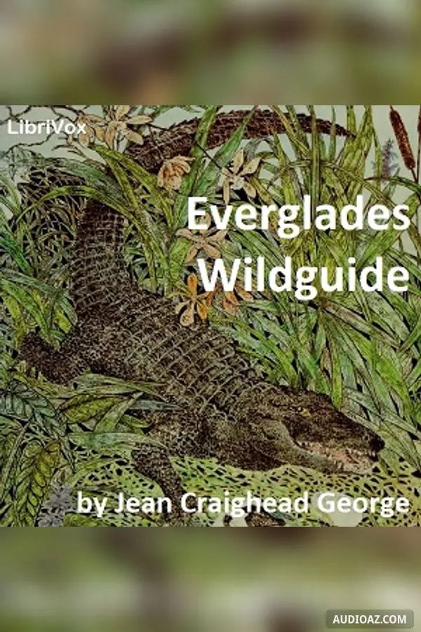 Everglades Wildguide