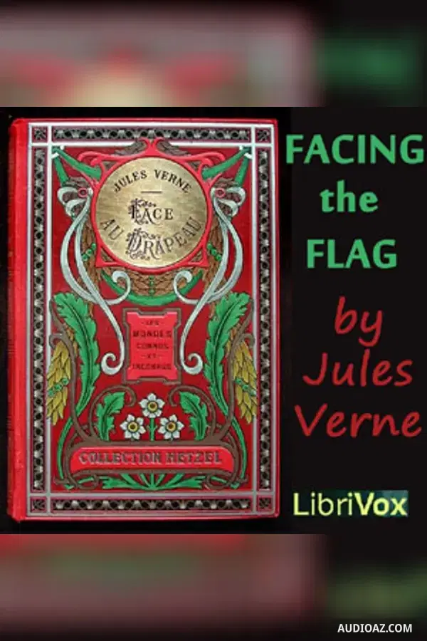 Facing the Flag