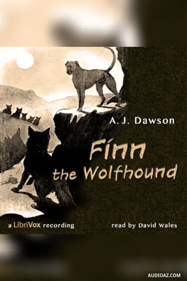 Finn The Wolfhound