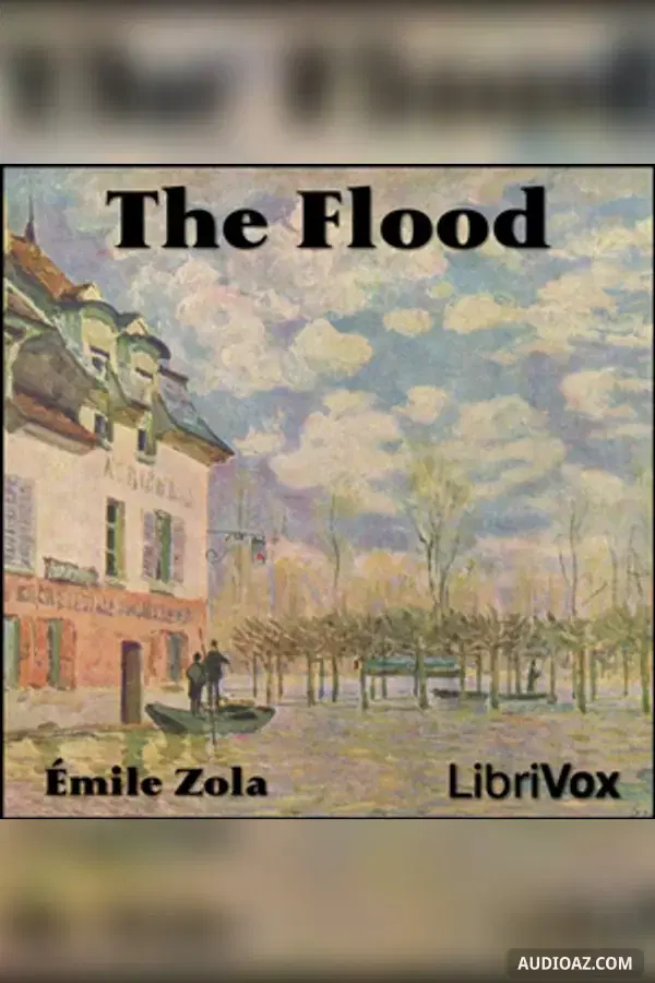Flood