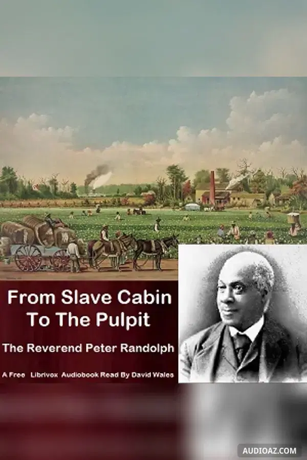 From Slave Cabin To Pulpit and Sketches Of Slave Life